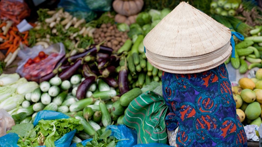 Wietnam last minute