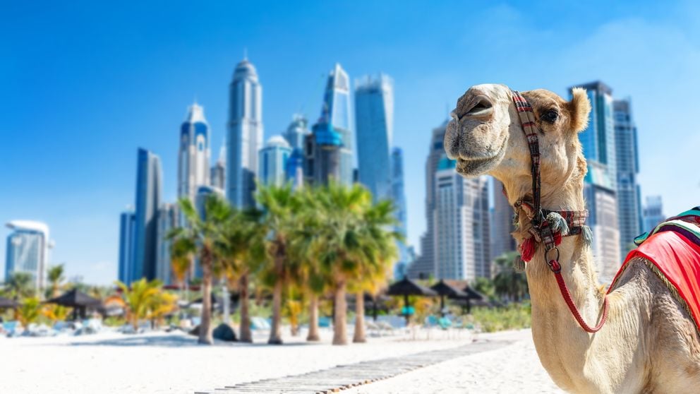 Ras al Kaimah last minute