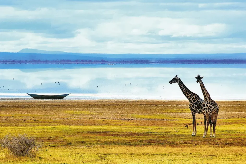 Zanzibar oferty last minute
