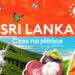 Sri Lanka wakacje last minute