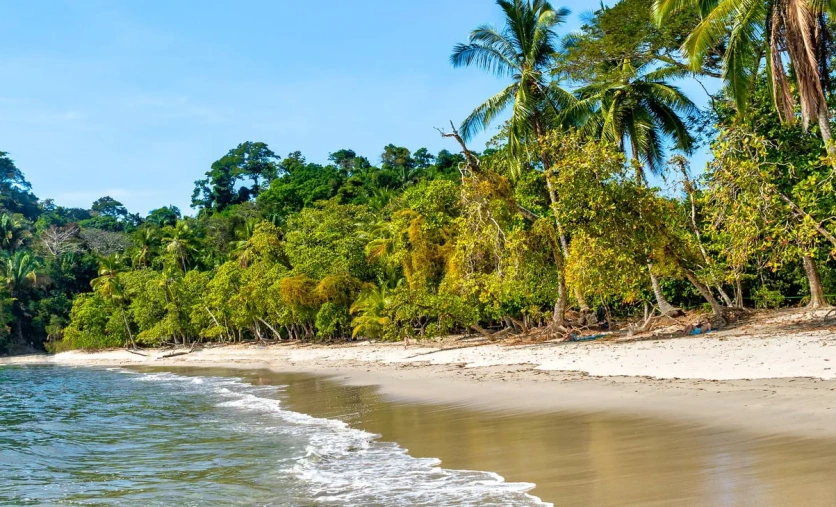 Plaża otoczona dżunglą w Parku Narodowym Manuel Antonio