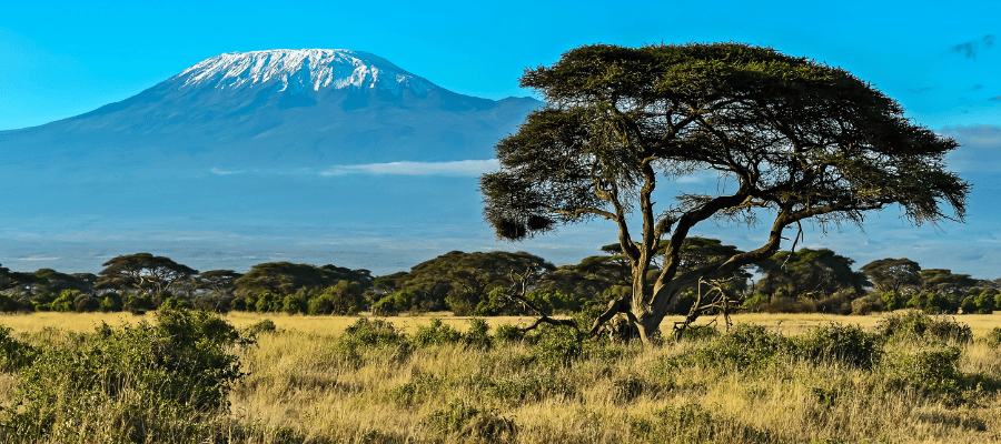 Park Narodowy Amboseli u stóp Kilimnadjaro