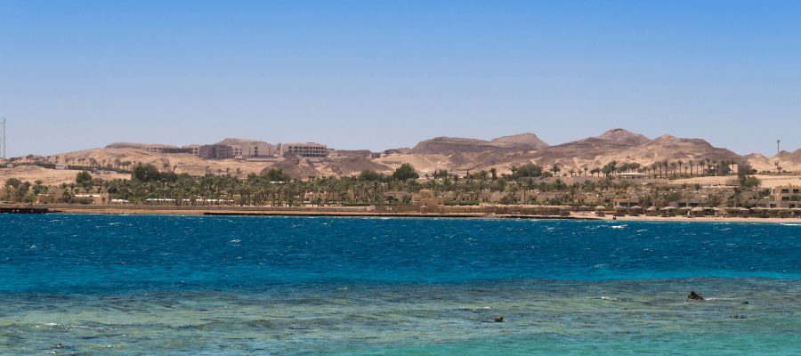 marsa alam plaża palmy relaks wakacje zimą