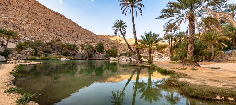 Oaza i wadi z palmami w górzystym regionie Omanu
