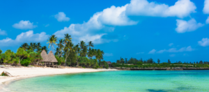 Rajska plaża na Zanzibarze z białym piaskiem, palmami i turkusową wodą Oceanu Indyjskiego