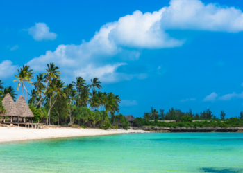 Rajska plaża na Zanzibarze z białym piaskiem, palmami i turkusową wodą Oceanu Indyjskiego