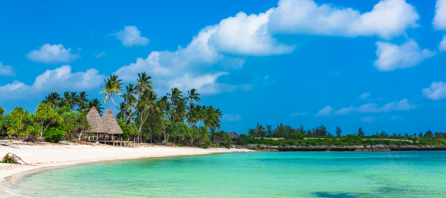 Rajska plaża na Zanzibarze z białym piaskiem, palmami i turkusową wodą Oceanu Indyjskiego