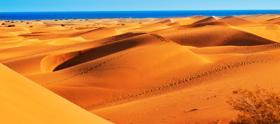 Gran Canaria – złote wydmy Maspalomas nad Oceanem Atlantyckim