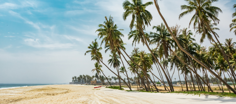 Plaża w Salalah z palmami kokosowymi nad Oceanem Indyjskim