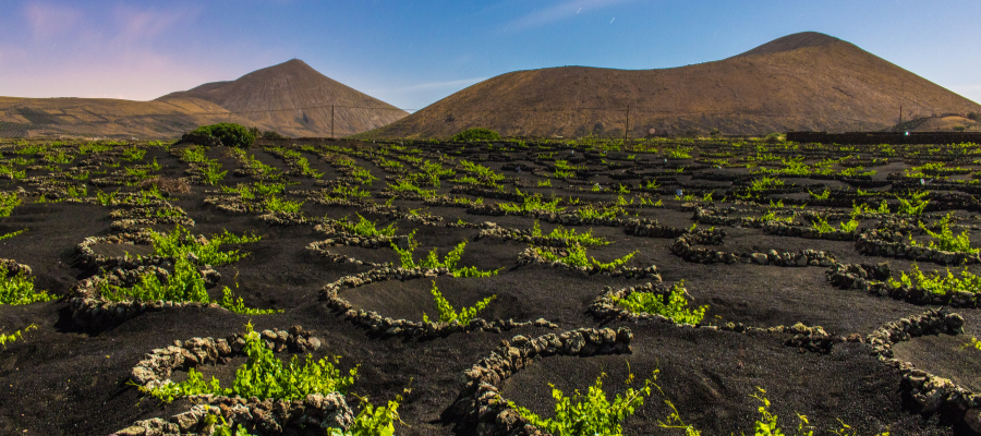 Lanzarote – wulkaniczne krajobrazy i winnice, wakacje Lato 2026