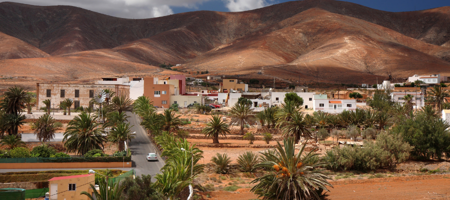Fuerteventura – krajobraz wyspy z palmami, zabudową i wulkanicznymi wzgórzami