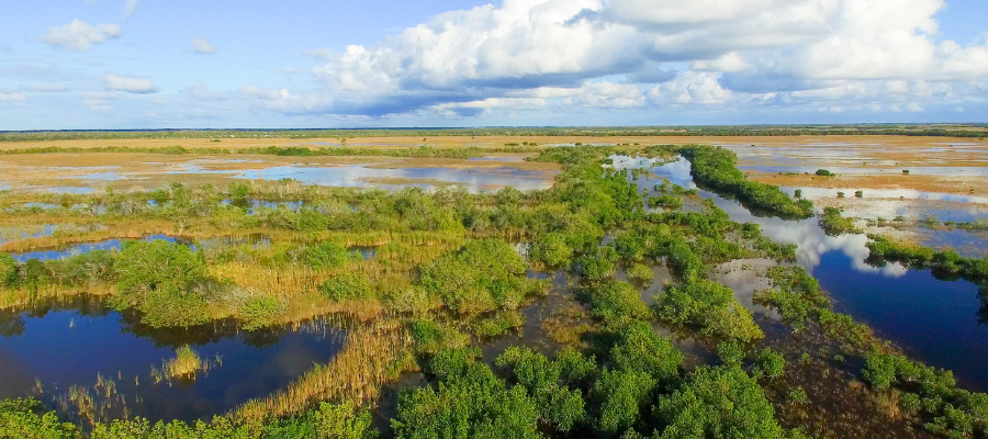 Park Narodowy Everglades na Florydzie – rozległe mokradła i tropikalna przyroda