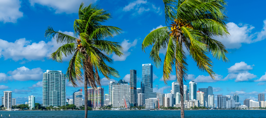 Skyline Miami i nowoczesne wieżowce w centrum miasta widziane zza palm