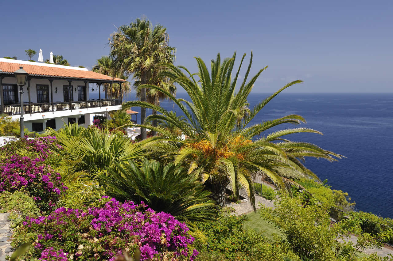 Restaurante Las Viñas w Hotelu Jardín Tecina z widokiem na ocean i tropikalny ogród