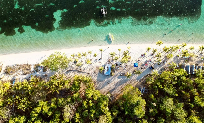Filipiny plaża palmy turkusowa woda wycieczka objazdowa egzotyczna