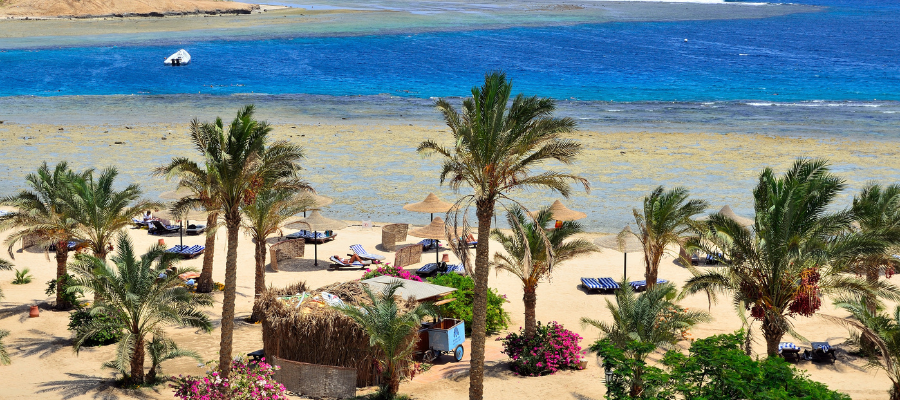 Plaża hotelowa i palmy w Marsa Alam nad Morzem Czerwonym
