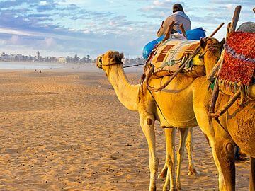 Maroko, Agadir - wakacje last minute