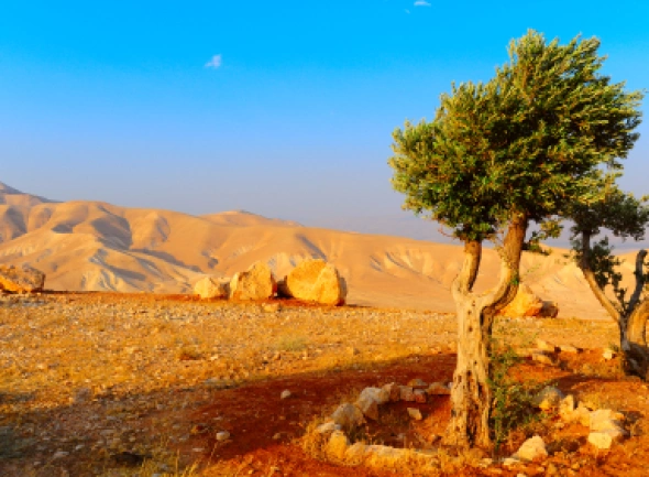 Izrael