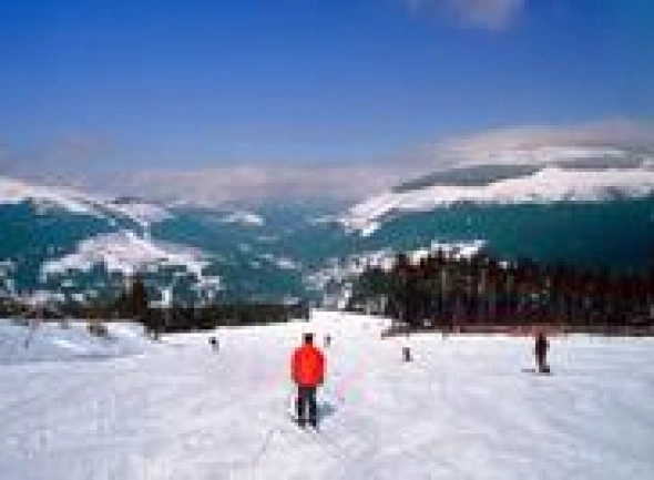Karkonosze