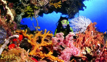 Sharm el Sheikh