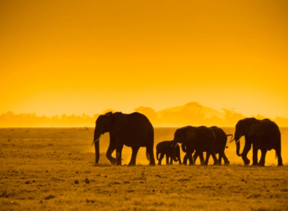 Kenia