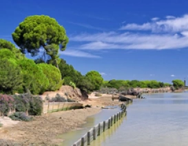 Coto Donana na wybrzeżu Costa de la Luz w Hiszpanii