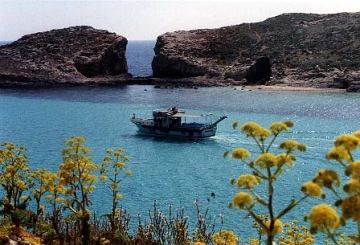 Przewodnik po Comino