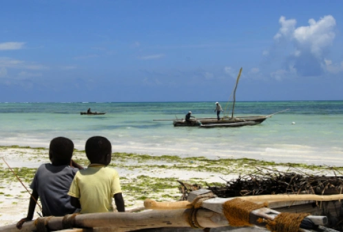 Przewodnik po Tanzania