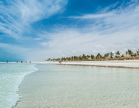 Plaże w okolicach Salalah zachwycają drobnym piaskiem
