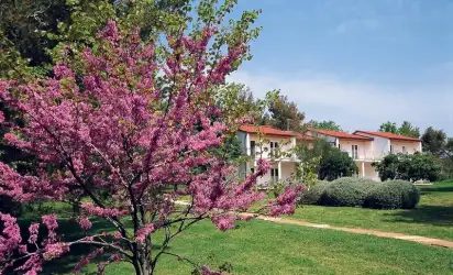 Hotel Ai Pini (Medulin), Istria