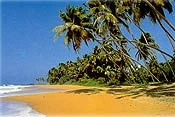 Plaże i aktywny wypoczynek