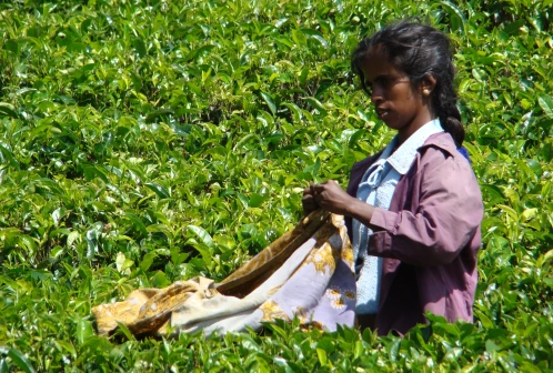 Przewodnik po Sri Lanka