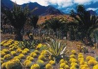 Gran Canaria - Wyspy Kanaryjskie