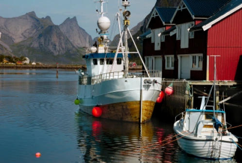 Przewodnik po Norwegia - fiordy północy