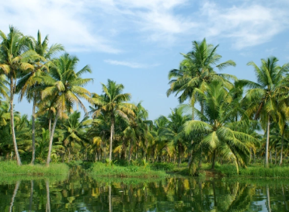 Goa