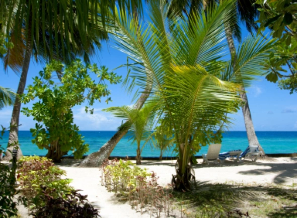 Goa