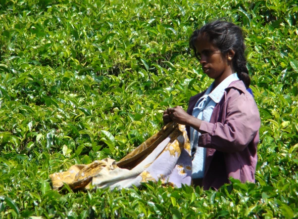 Sri Lanka