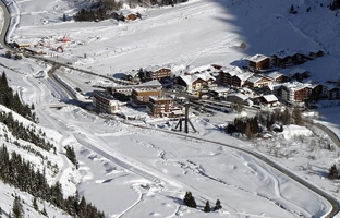 Mandarfen