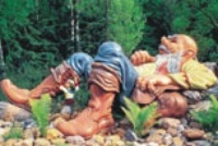 Przewodnik po Południowa Holandia