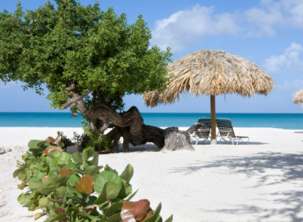 Aruba