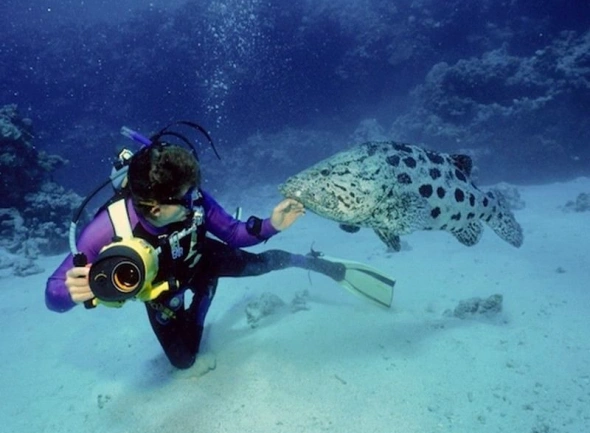 Australia