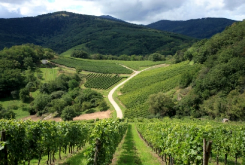 Francja