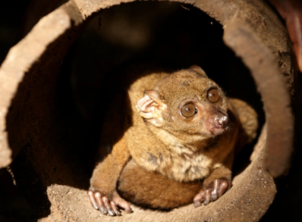 Tanzania