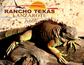 park rozrywki z egzotycznymi zwierzętami Rancho Texas