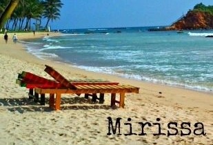 Przewodnik po Mirissa