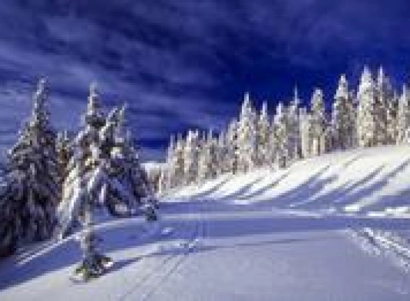 Karkonosze