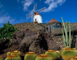 Jardin de Cactus - lanzarote