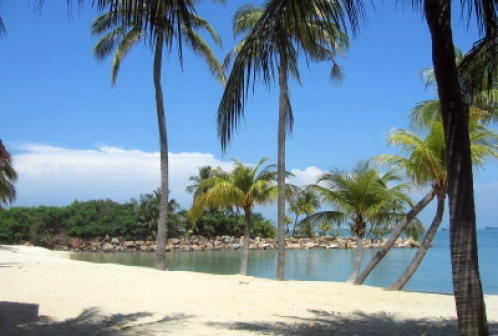 Przewodnik po Singapur - azjatycki tygrys