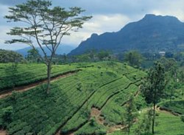 Sri Lanka
