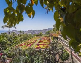 Ogród Botaniczny w Funchal
